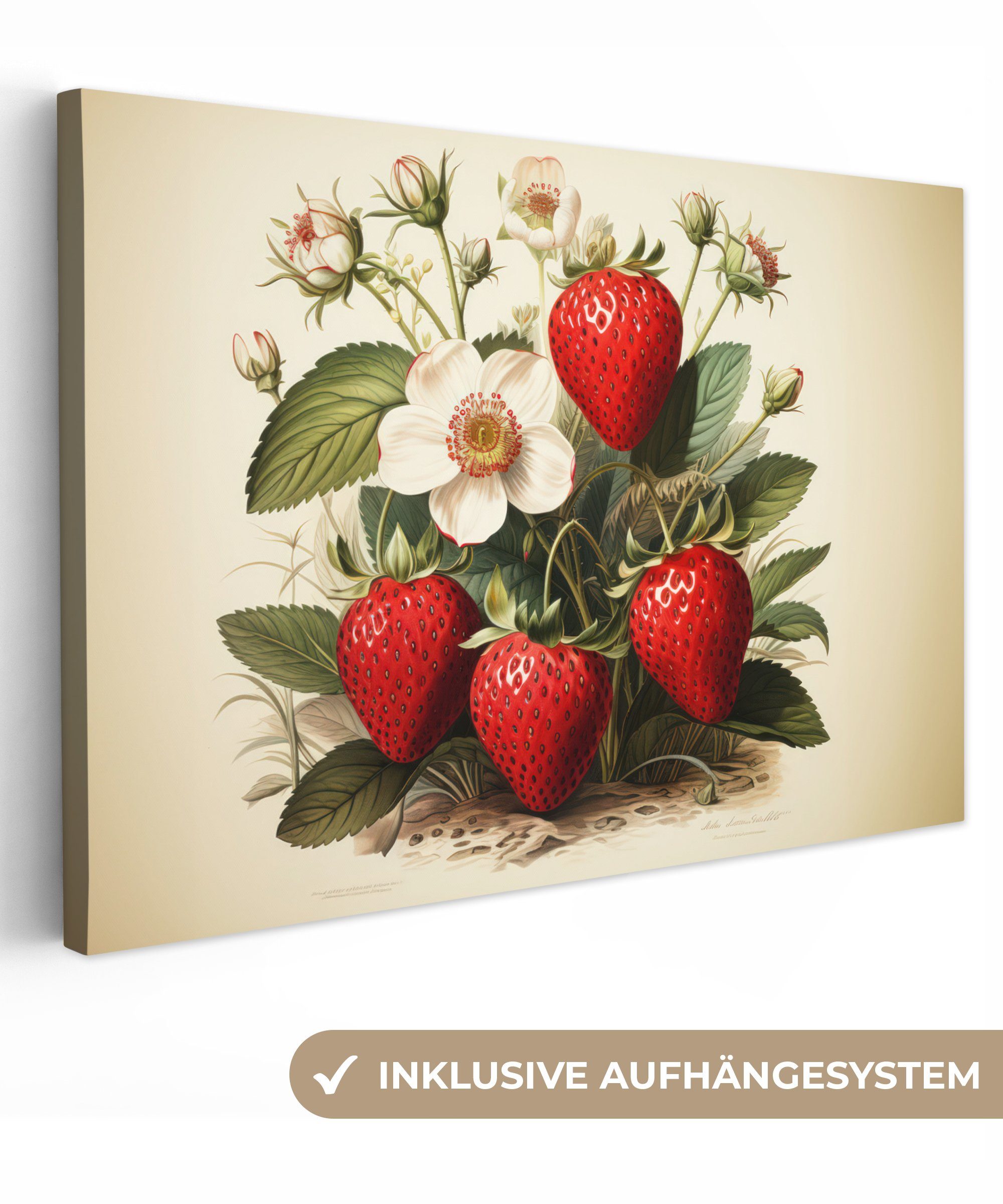 OneMillionCanvasses® Leinwandbild Vintage - Erdbeere - Pflanzen - Obst - Natur - Beige, Fotodruck (1 St), Wandbild XXL für Wohnzimmer Küche 120x80 cm