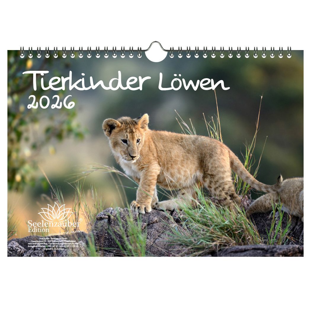 Seelenzauber Wandkalender Tierkinder Löwen DIN A4 Kalender für 2026 Löwenbabys - Seelenzauber