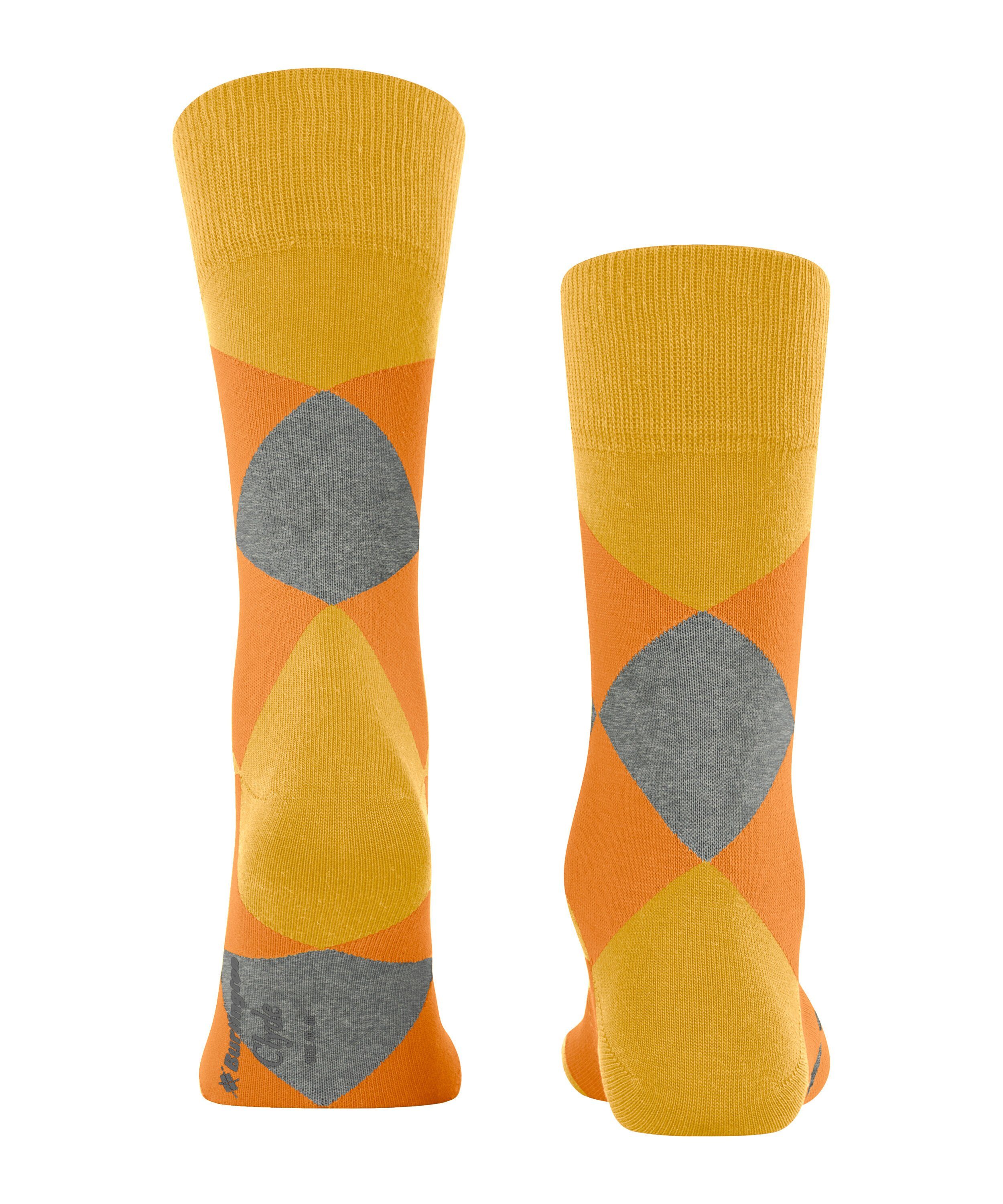 (1314) Burlington (1-Paar) solar Clyde Socken