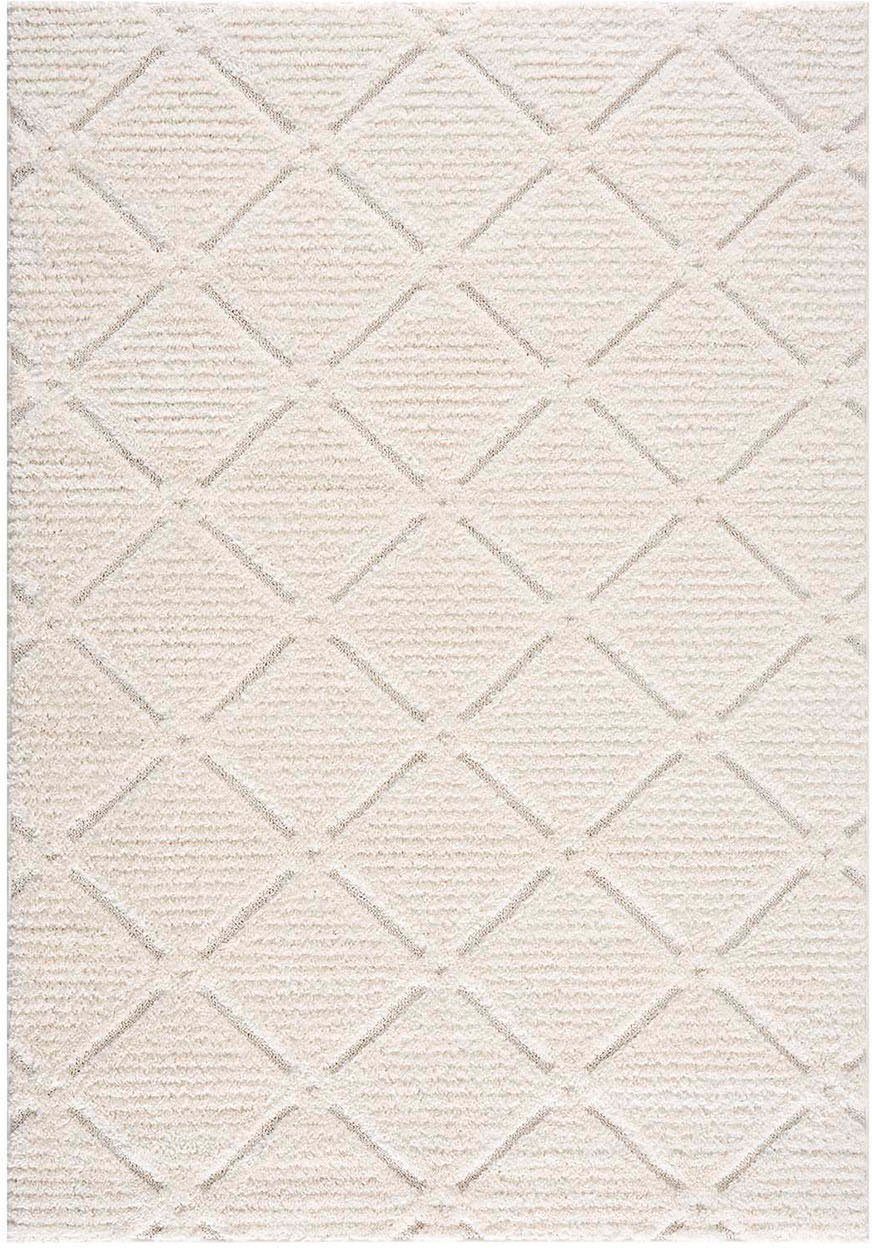 my home Hochflor-Teppich Tammo, rechteckig, Höhe: günstig online kaufen