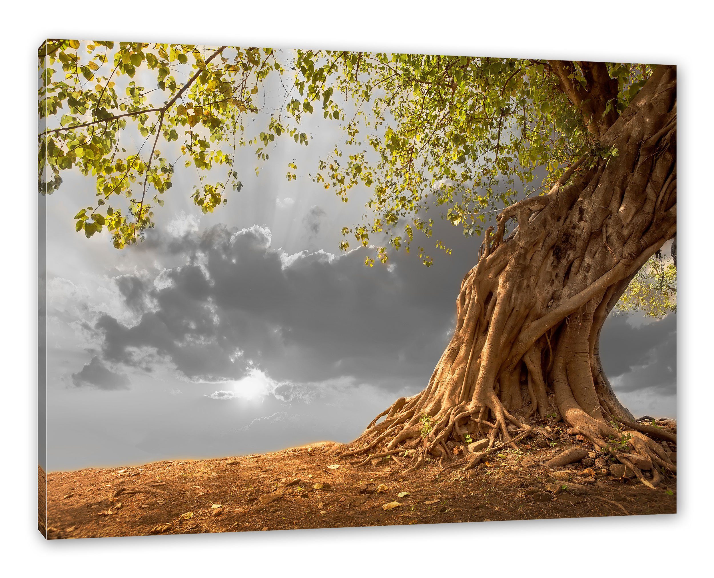 bespannt, Zackenaufhänger Baum, Pixxprint Baum inkl. Leinwandbild fertig (1 St), Leinwandbild