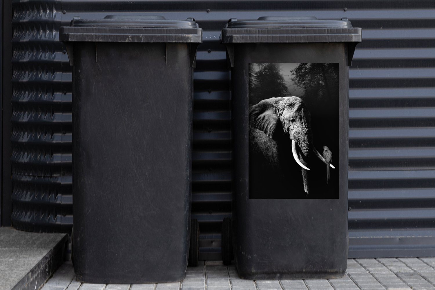 Wald weiß - Container, schwarz Papagei mit (1 Wandsticker St), im Sticker, Abfalbehälter Mülleimer-aufkleber, Mülltonne, und Elefant MuchoWow
