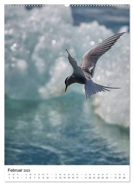 CALVENDO Wandkalender Island 2023 - Einzigartige Natur hautnah erleben (Premium, hochwertiger DIN A2 Wandkalender 2023, Kunstdruck in Hochglanz)