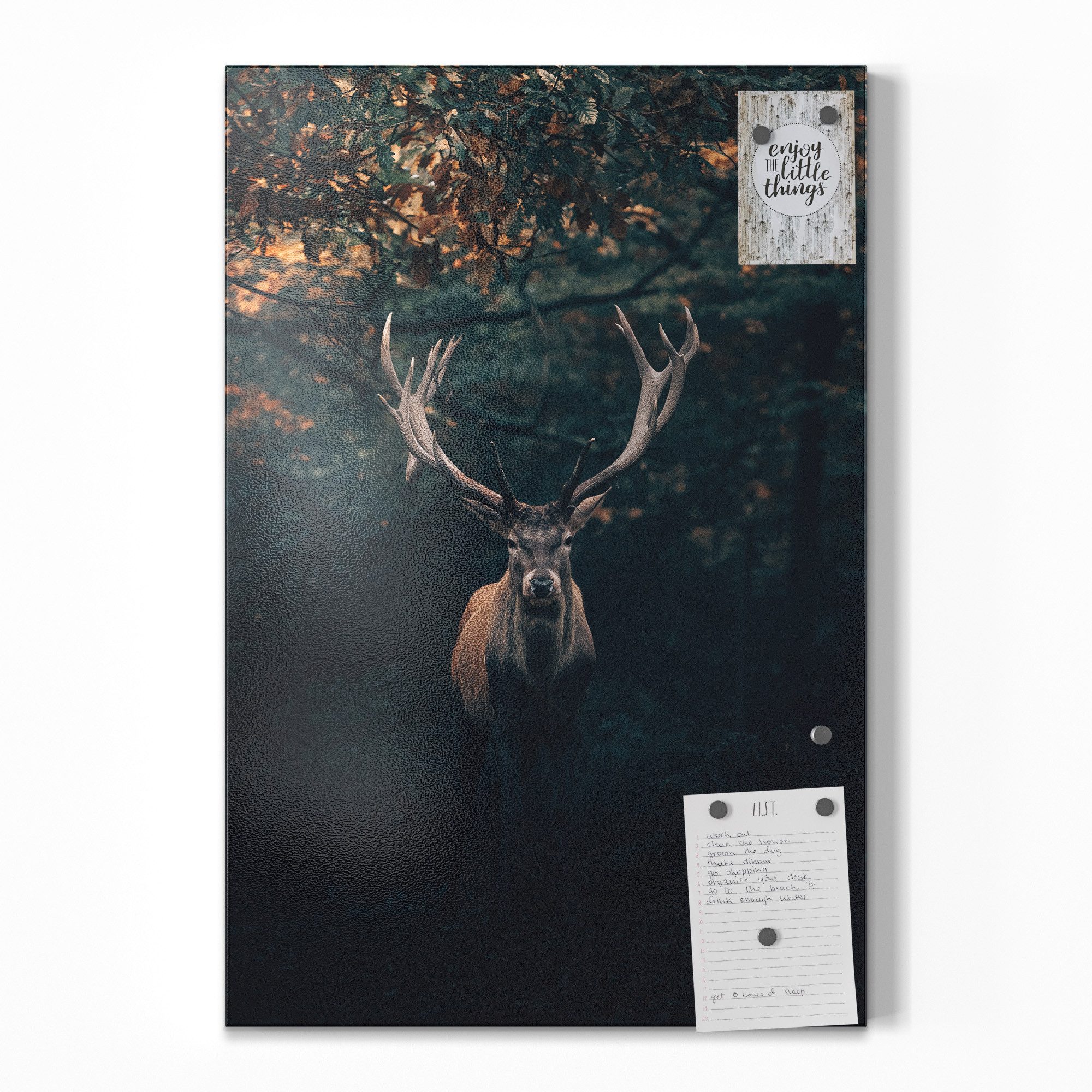 DEQOART Magnettafel 'Elch im Teutoburger Wald', Metall Whiteboard für alle Magnete, Magnetboard magnetisch