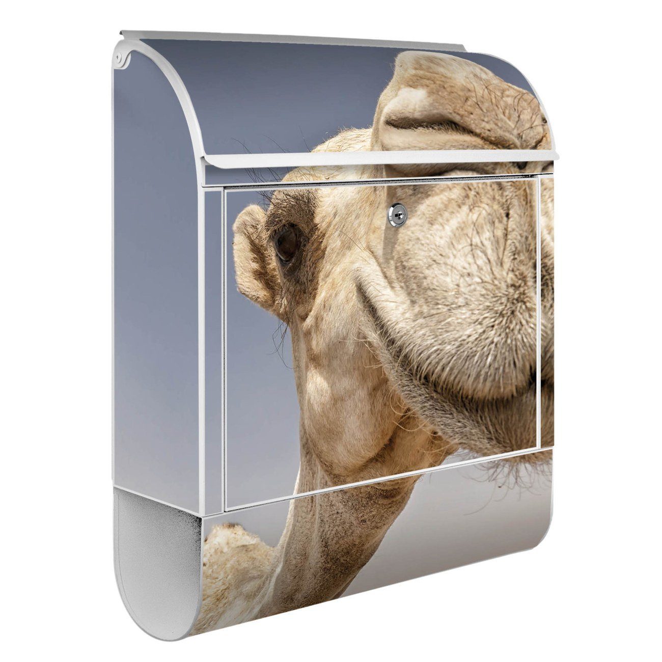 banjado Wandbriefkasten 39 47 Kamele pulverbeschichtet, (Wandbriefkasten mit x 14cm Stahl Zeitungsfach), x witterungsbeständig, weiß