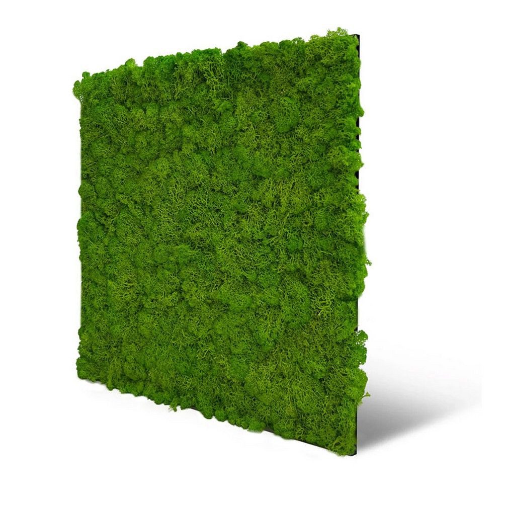 JANGAL Wandpaneel Wandpaneel Jangal Modular Wall 11102 Bright Green Moos 52 x 52 cm