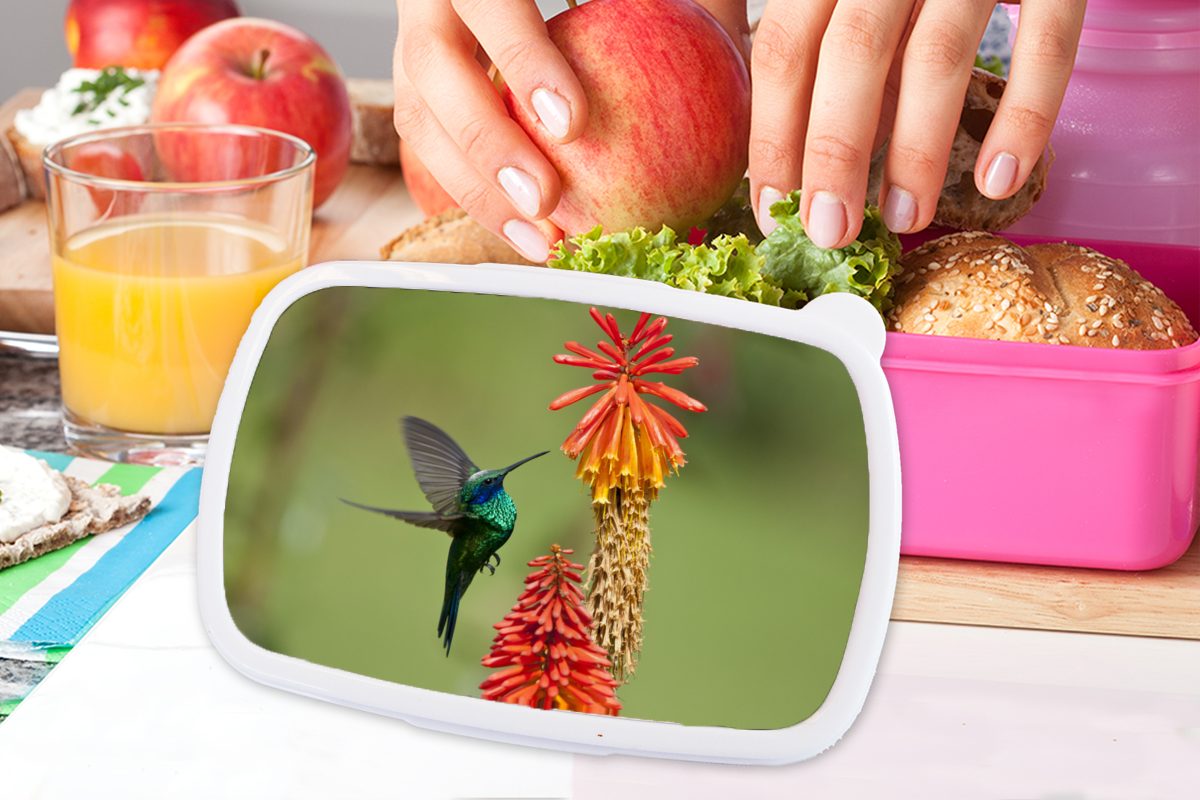 Snackbox, - Kolibri für Erwachsene, Lunchbox MuchoWow Brotdose Brotbox - Vogel Kunststoff, Kinder, Blumen, rosa (2-tlg), Mädchen, Kunststoff