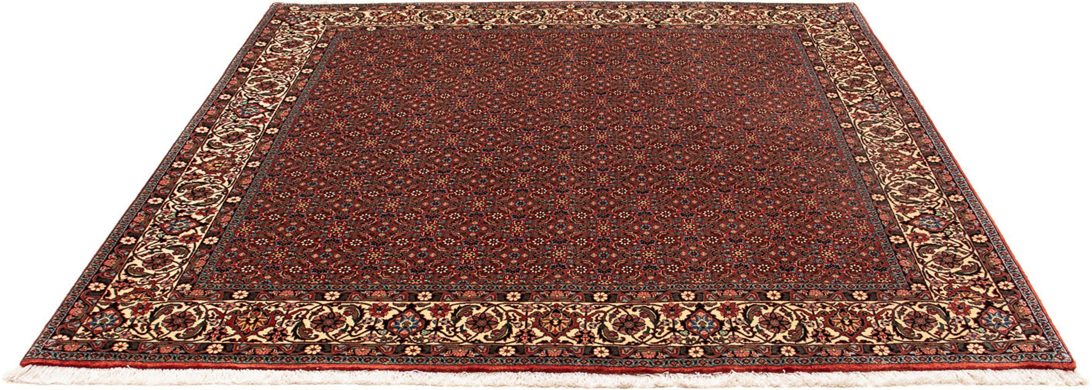 Orientteppich Perser - Bidjar quadratisch - 203 x 197 cm - dunkelrot, morgenland, quadratisch, Höhe: 15 mm, Wohnzimmer, Handgeknüpft, Einzelstück mit Zertifikat