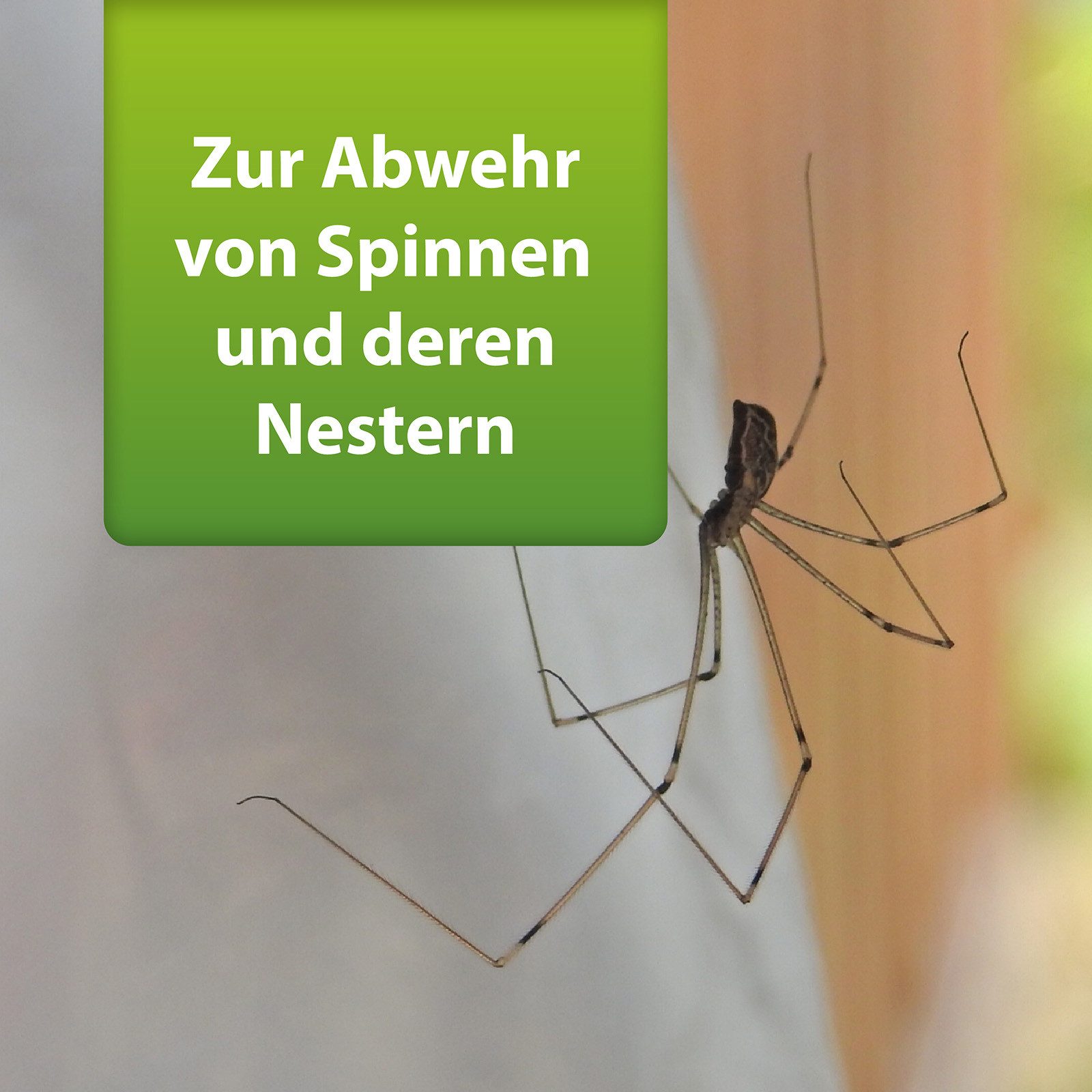Ardap Insektenspray ARDAP Repell Spinnenspray 400 ml