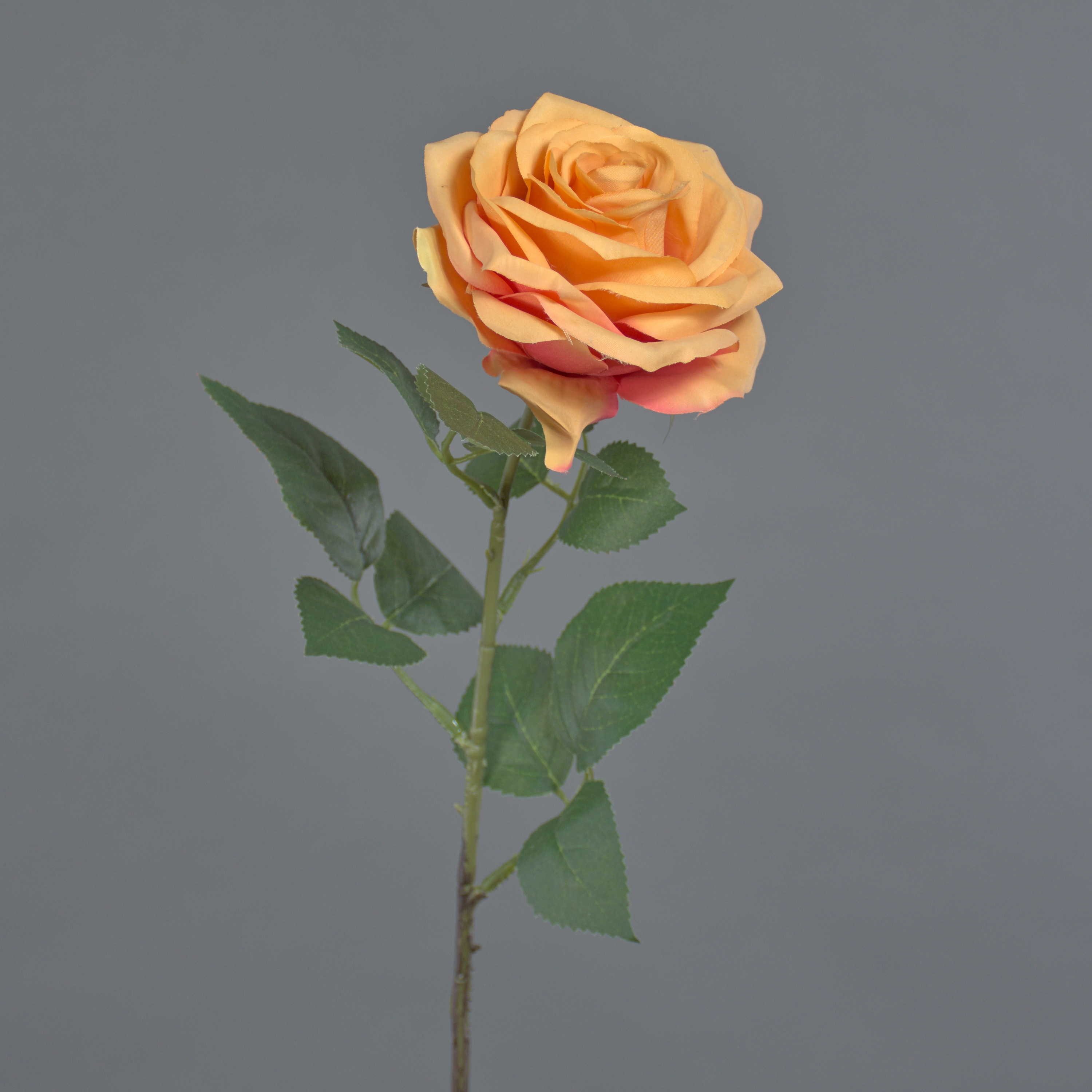 Kunstblume Kunstrose Kailin, orange, 65 cm Rose, artplants, Höhe 65.0 cm