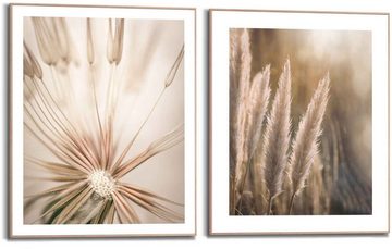 Reinders! Wandbild Natur Botanisch - Pampas - Löwenzahn - Nahaufnahme, (2 St)