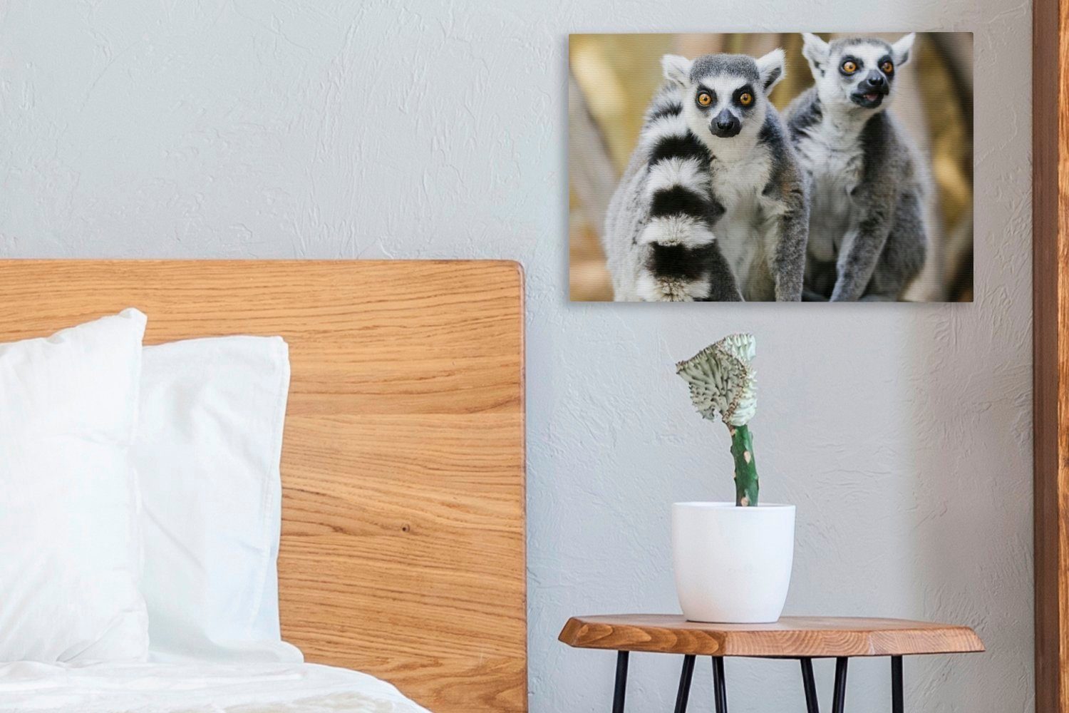 OneMillionCanvasses® Leinwandbild Affe - Ringschwanzlemur Wanddeko, Wandbild 30x20 cm Leinwandbilder, Aufhängefertig, St), - (1 Tier