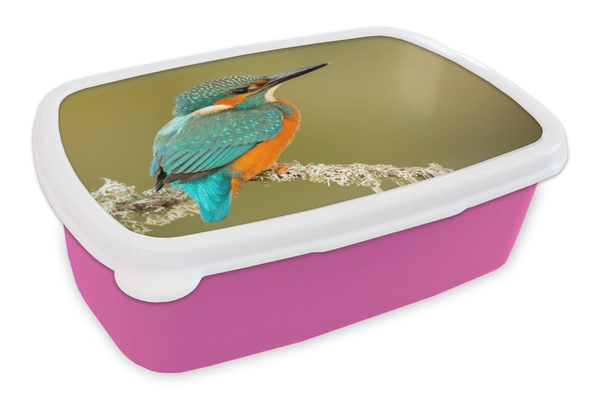 MuchoWow Lunchbox Eisvogel - Tiere - Vogel, Kunststoff, (2-tlg), Brotbox für Erwachsene, Brotdose Kinder, Snackbox, Mädchen, Kunststoff rosa