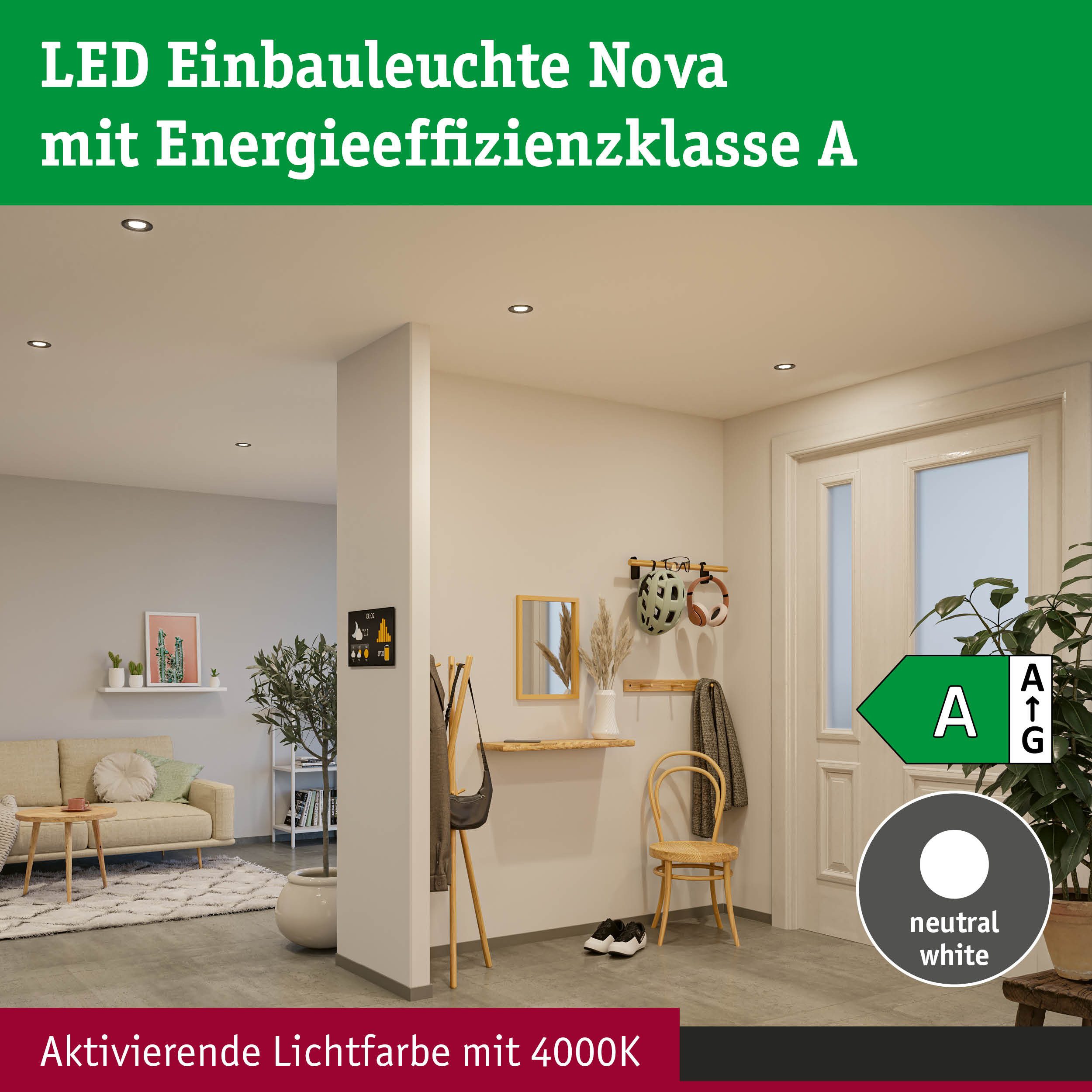 Paulmann LED Einbauleuchte LED Einbauleuchte Nova Coin 50mm 2,8W 505lm 230V 4000K Klar, LED fest integriert, Neutralweiß