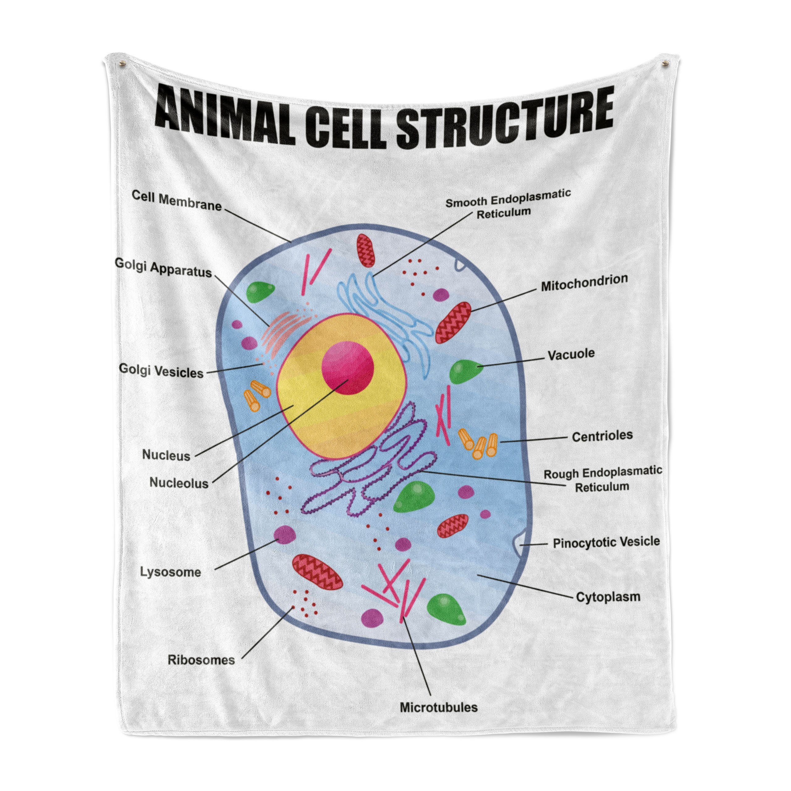 Wohndecke Gemütlicher Plüsch für den Innen- und Außenbereich, Abakuhaus, Lehrreich Animal Cell Study