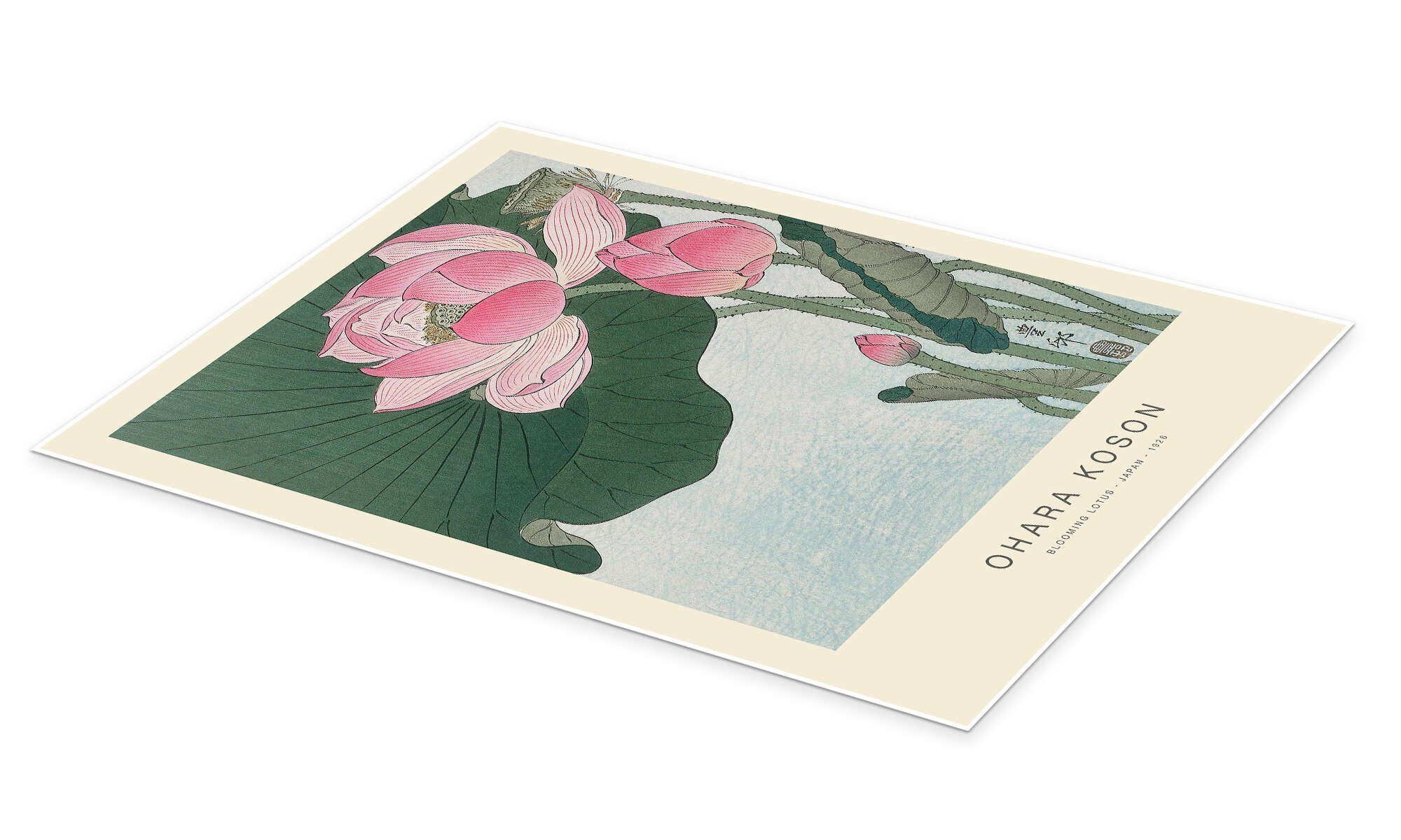 Posterlounge Wandbild Blooming Lotus, 1926, Ohara Koson, erhältlich als Poster, Leinwandbild, Wandsticker oder Acrylglasbild