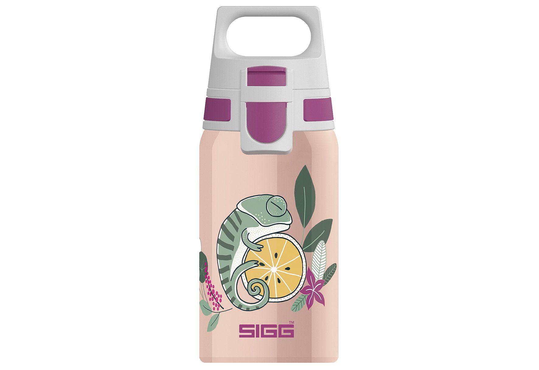 Trinkflasche Sigg