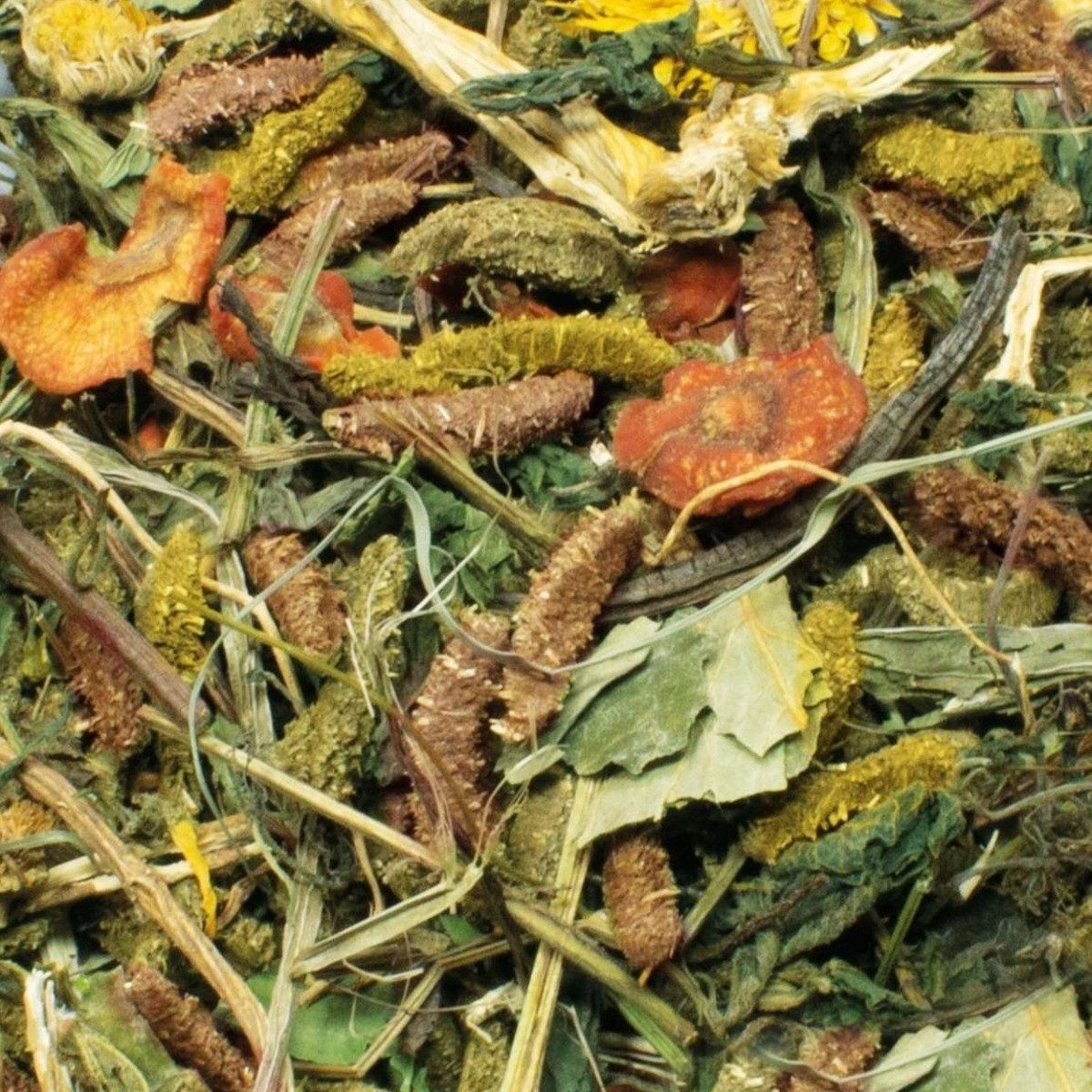 JR Farm Grainless Health Mix Zwergkaninchen 600 g - 4 Stück, für: Kleintier