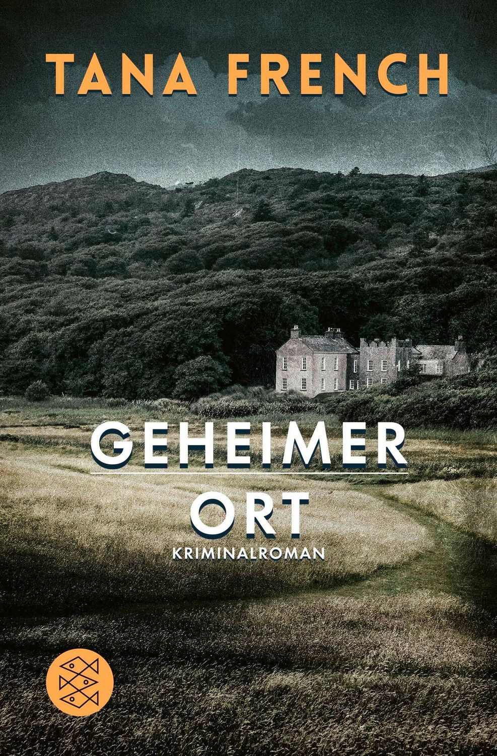 Geheimer Ort / Tana French