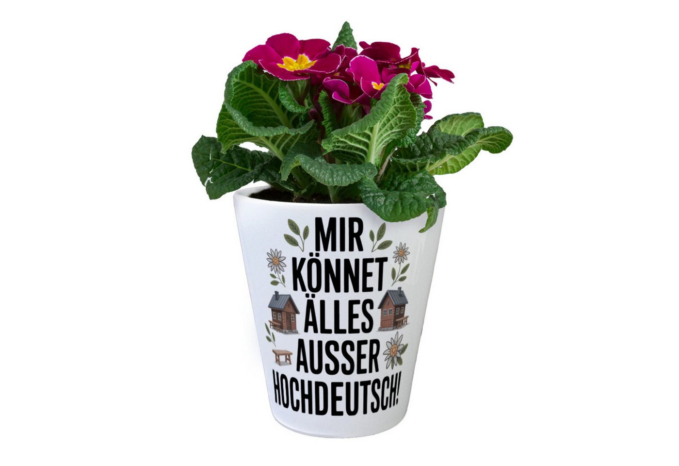 Thumbnail - speecheese Blumentopf Mir könnet älles außer Hochdeutsch Blumentopf Schwäbisch