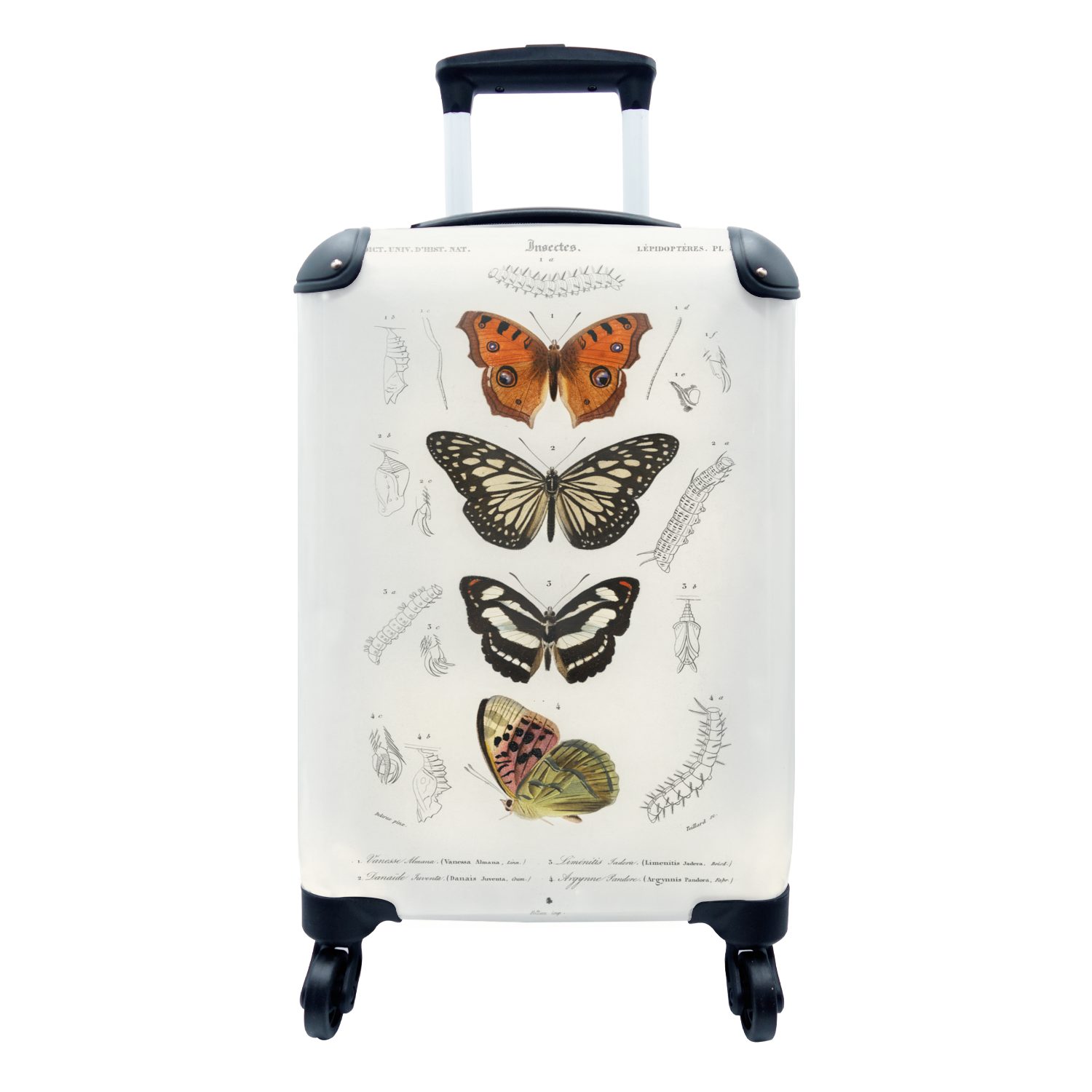 Handgepäck Vintage Schmetterling - Rollen, MuchoWow für Trolley, Reisetasche 4 - Handgepäckkoffer Reisekoffer Insekten, rollen, Ferien, mit
