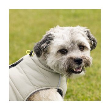 Beeztees Hundemantel Hundemantel Bobby taupe