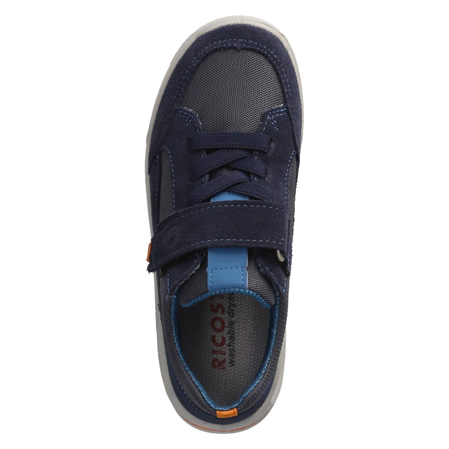 Pepino Low Sneaker EDDO Sneaker