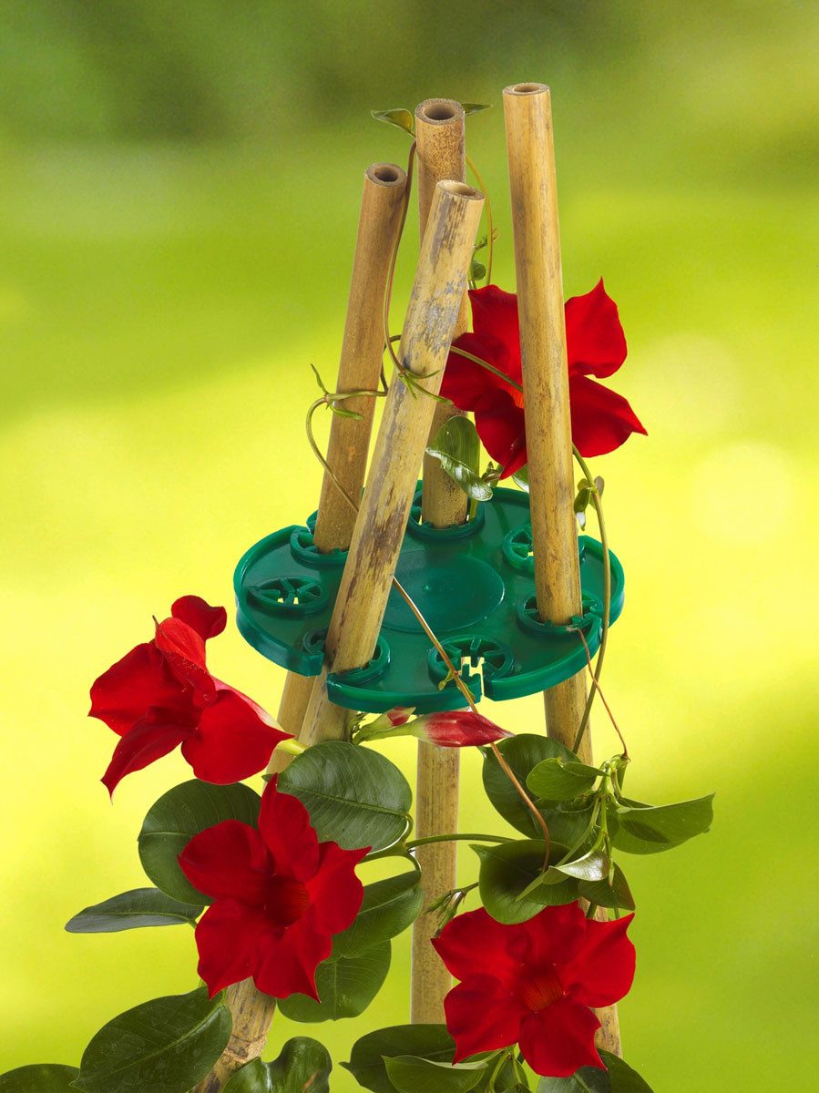 WENKO Rankhilfe WENKO Rank-FIX 2er-Set,1 Set günstig online kaufen