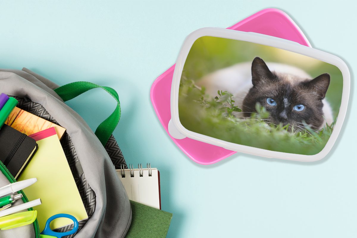 Gras Porträt, Brotdose für - Katze Erwachsene, MuchoWow Snackbox, Kunststoff, - Mädchen, rosa Brotbox Kinder, Kunststoff (2-tlg), Lunchbox