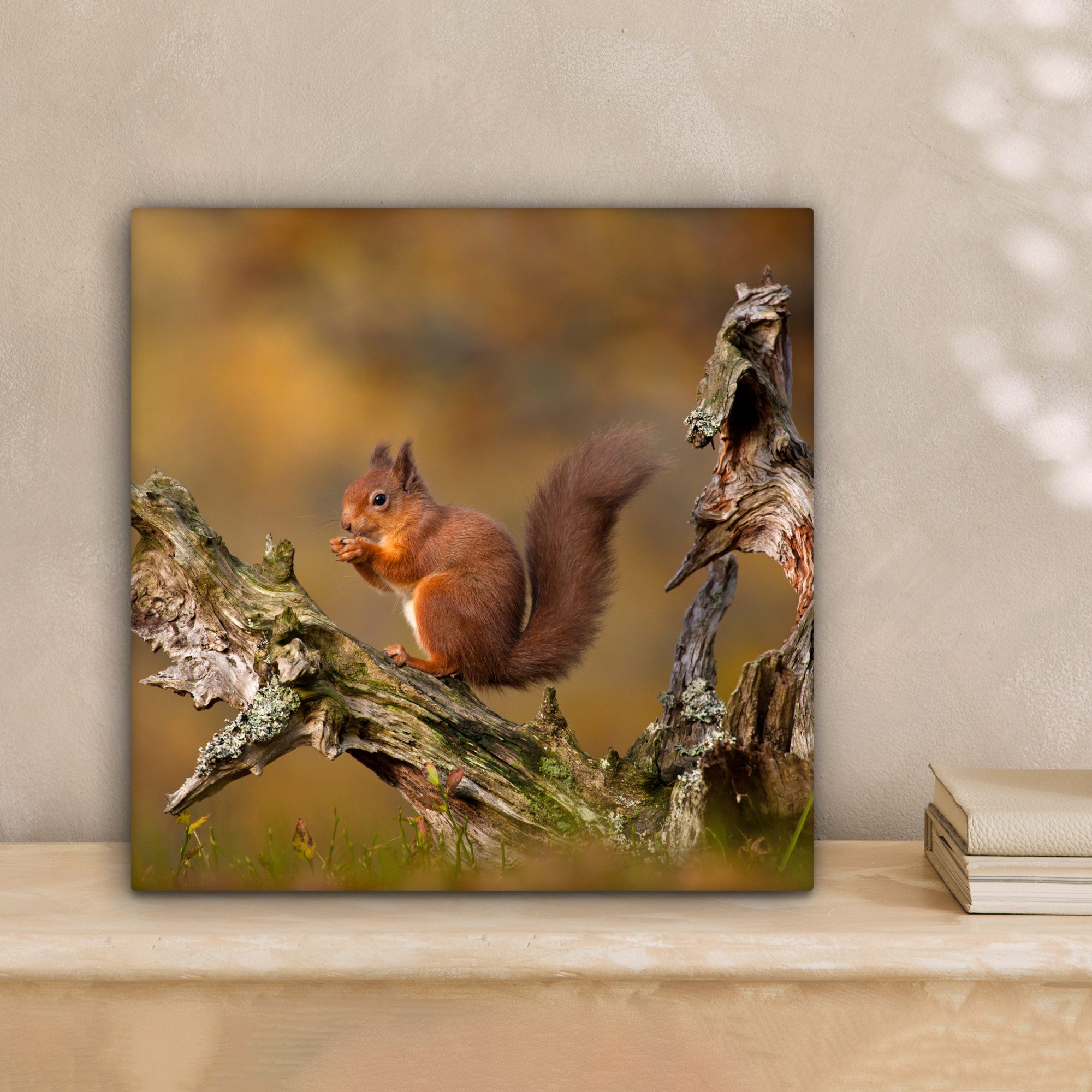 OneMillionCanvasses® Leinwandbild Rotes Eichhörnchen im Herbst, günstig online kaufen