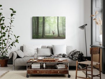 Sinus Art Leinwandbild 120x80cm Wandbild auf Leinwand Hirsch im Wald Natur Bäume Tierfotograf, (1 St)