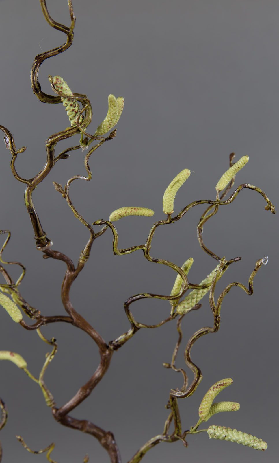 Kunstzweig Korkenzieherzweig / Haselnusszweig GA Kunstzweig künstlicher Korkenzieherhasel, Seidenblumen Roß, Höhe 65 cm