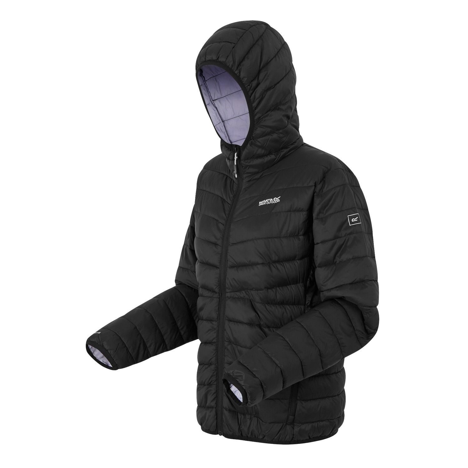 Regatta Steppjacke Hillpack IV Übergangsjacke mit günstig online kaufen