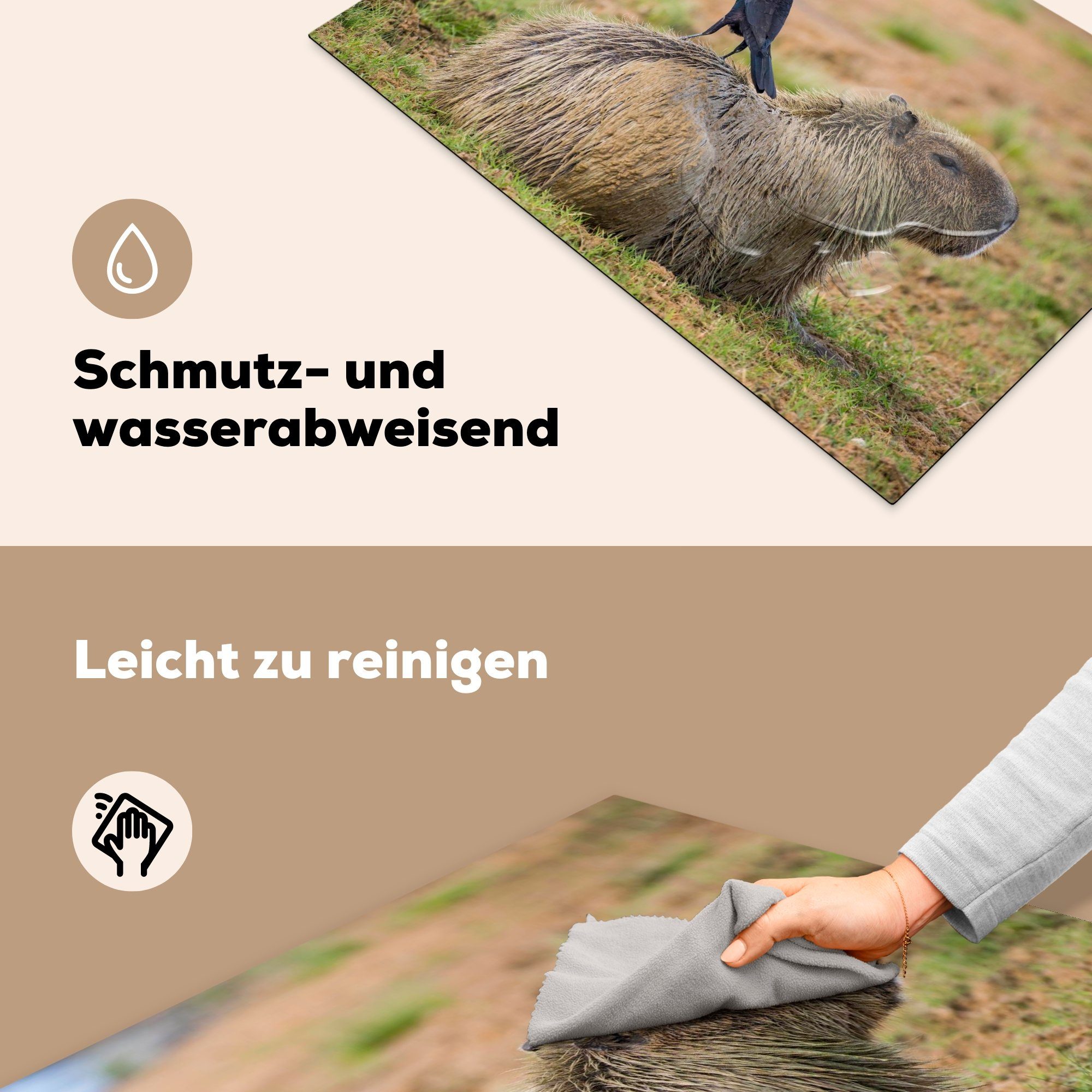 tlg), 81x52 Schutz Vogel, für MuchoWow Capybara Ceranfeldabdeckung Vinyl, küche, Herdblende-/Abdeckplatte die (1 mit cm, Induktionskochfeld