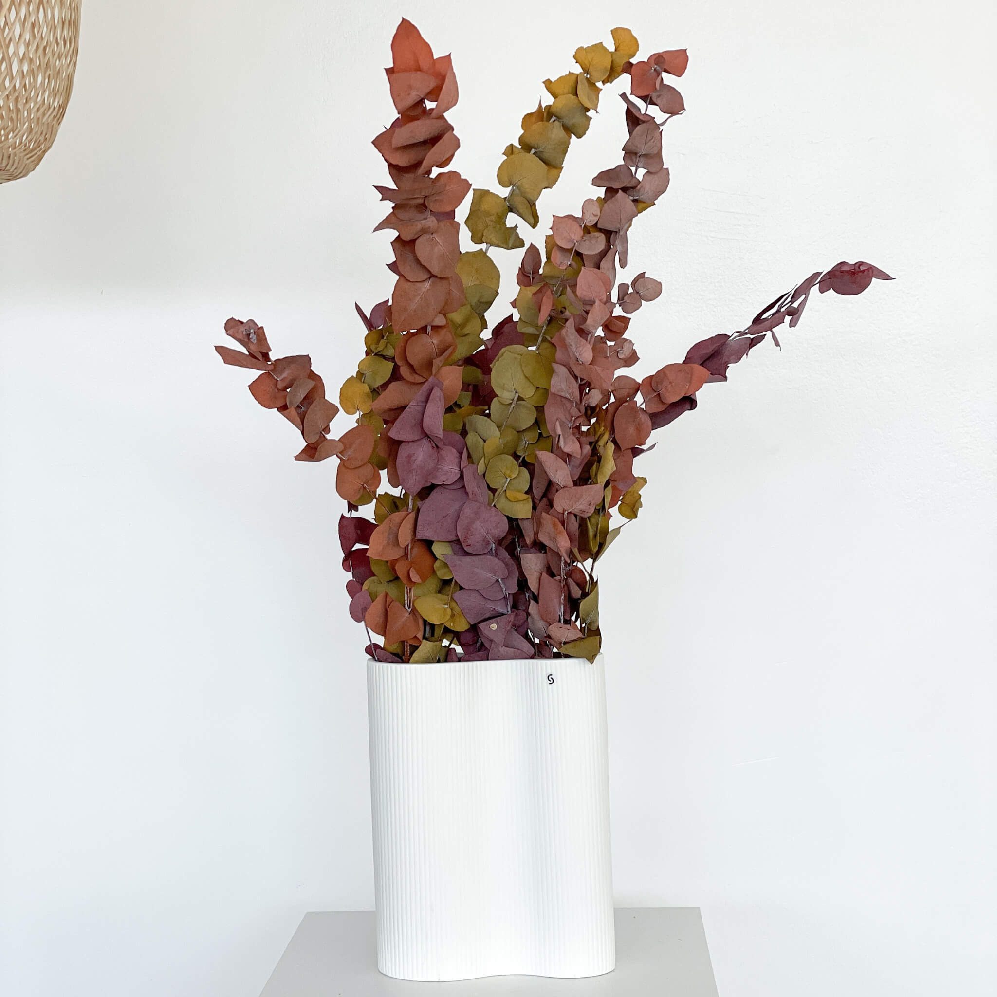 Trockenblume Eukalyptus Stuartiana, LYKKE & You günstig online kaufen