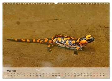 CALVENDO Wandkalender Kleine Reptilien (Premium, hochwertiger DIN A2 Wandkalender 2023, Kunstdruck in Hochglanz)