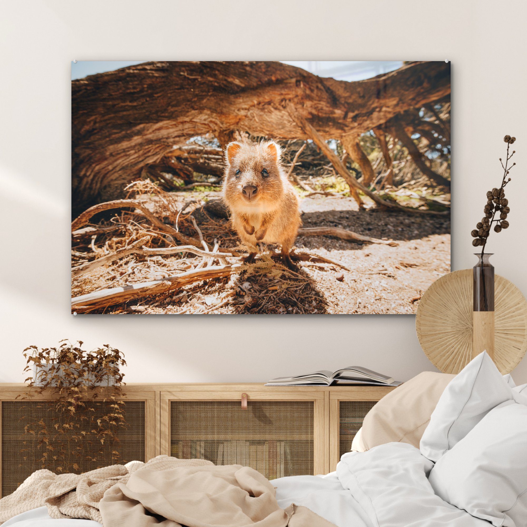 Quokka, Wohnzimmer (1 Acrylglasbilder MuchoWow St), & Acrylglasbild Schlafzimmer Wilder