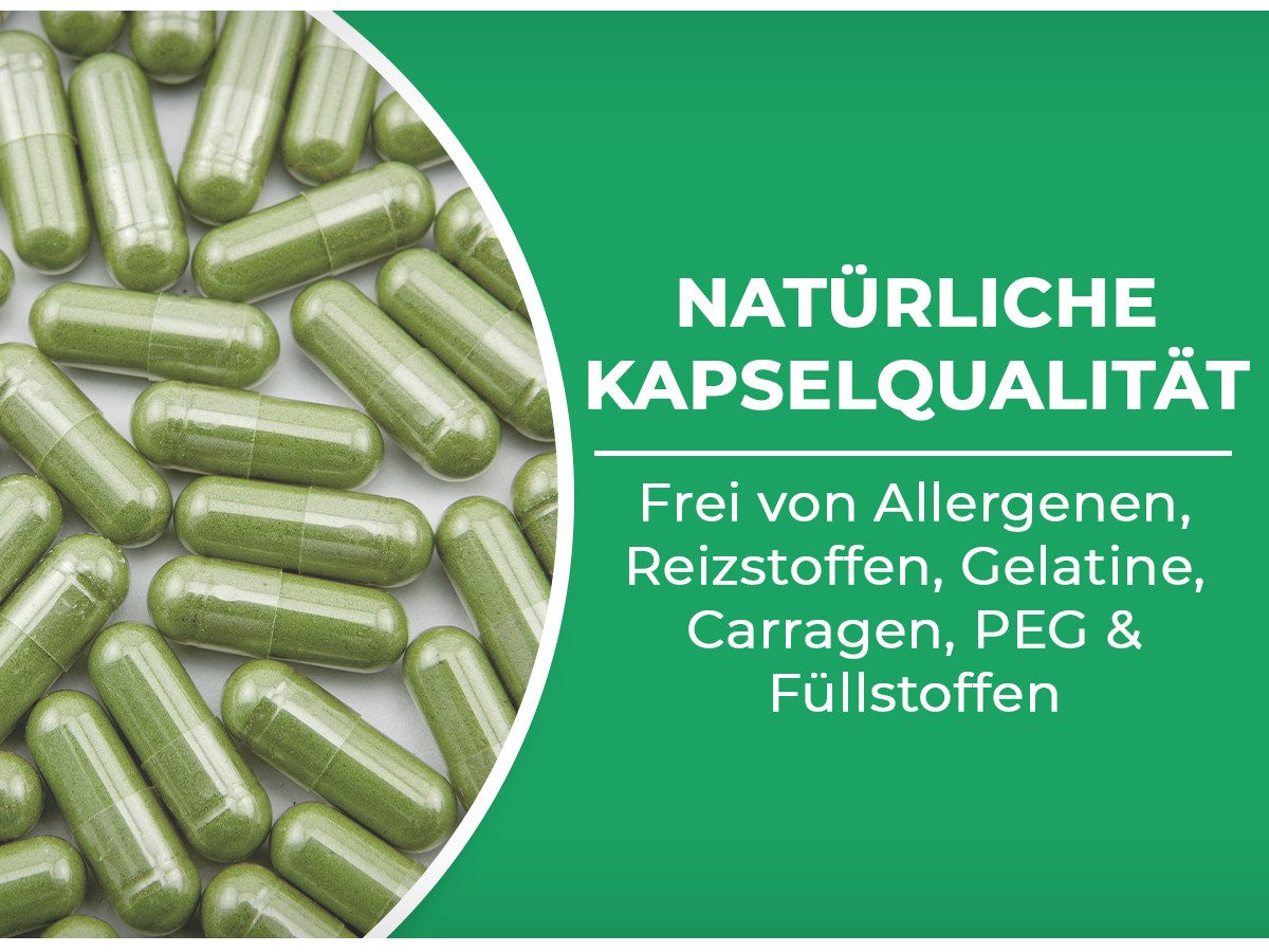 QIDOSHA Bio Gerstengras Kapseln, Bio Gerstengraspulver fein gemahlen mit 500mg je Kapsel, vegan, deutsche Fertigung à 360 St., 215 g