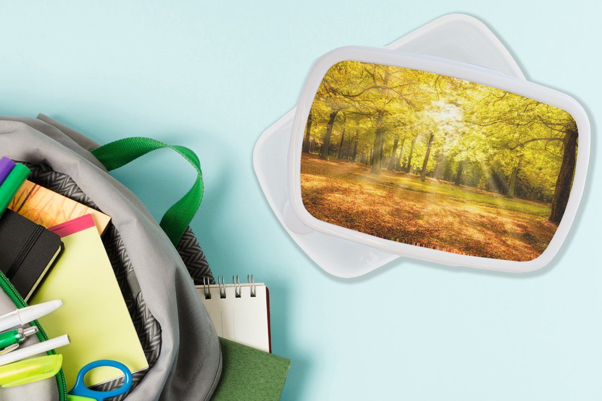 Wald, - für Brotbox weiß Jungs - Sonne Mädchen Brotdose, Erwachsene, Kinder Lunchbox (2-tlg), Baum und - - Kunststoff, und MuchoWow Natur für Landschaft