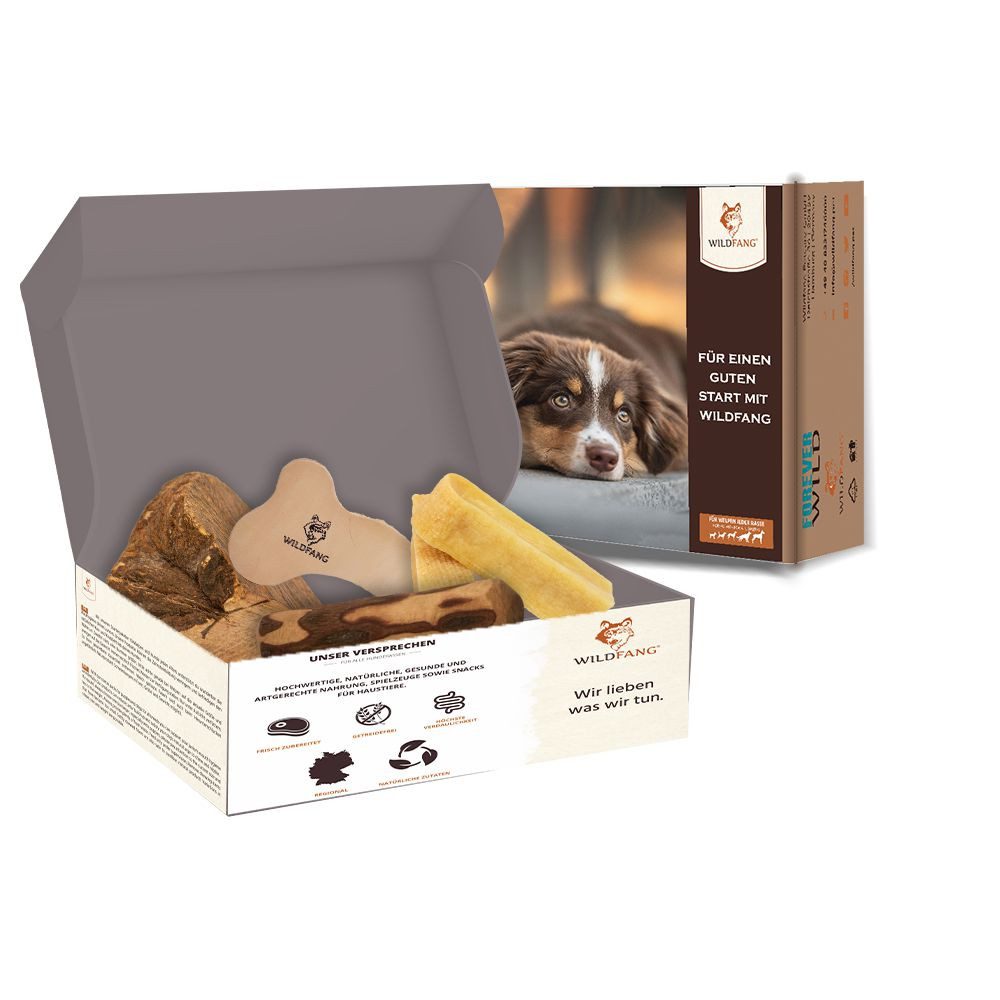 Wildfang Kauspielzeug Welpen Paket "Willkommen Jungspund" günstig online kaufen