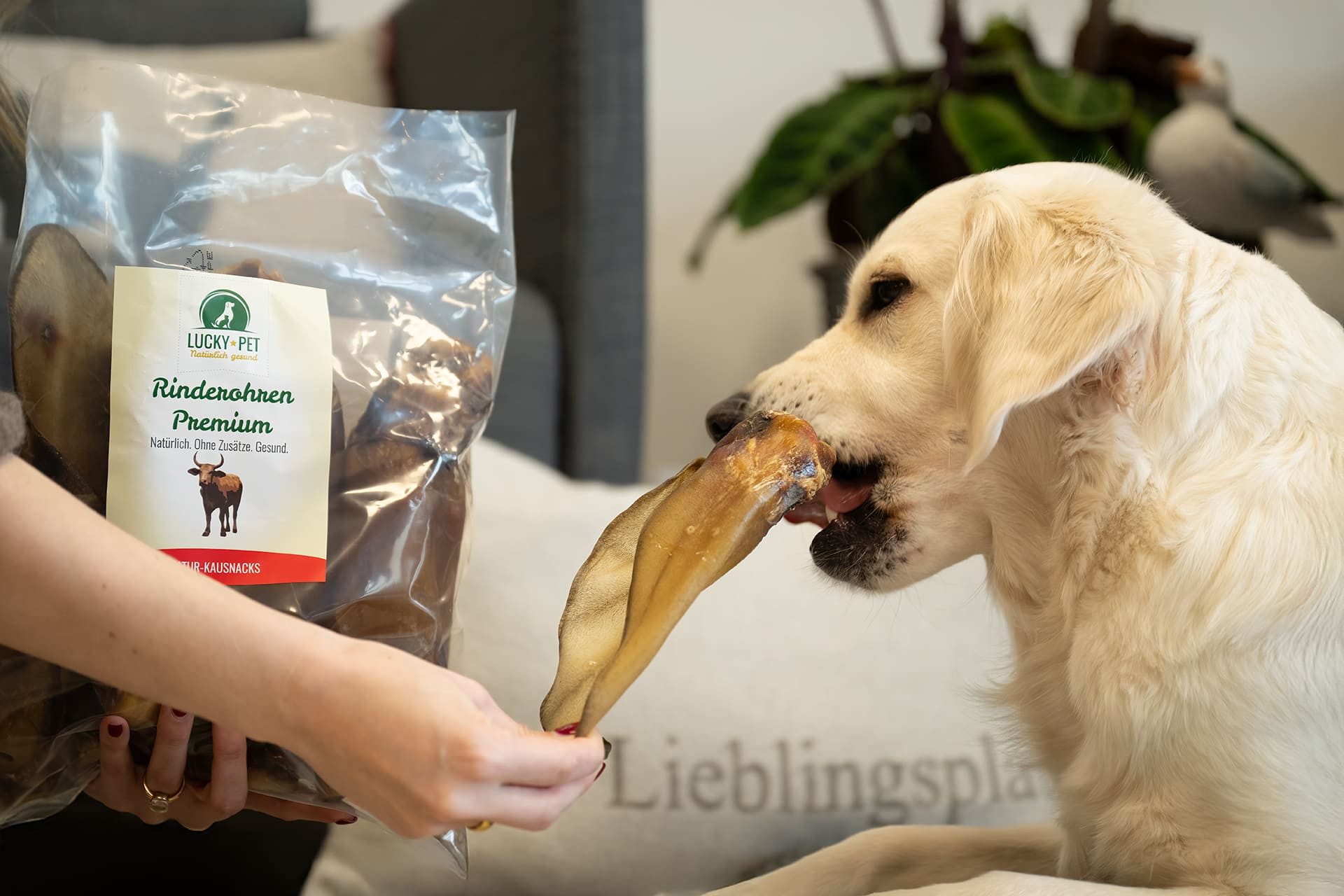 Lucky-Pet Lucky-Pet Rinderohren Premium, Snack für: Hund