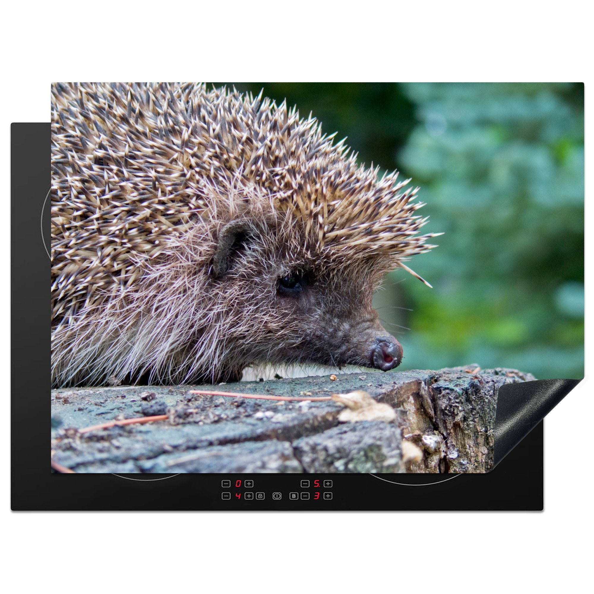 MuchoWow Herdblende-/Abdeckplatte Igel auf Baum, Vinyl, (1 tlg), 70x52 cm, Mobile Arbeitsfläche nutzbar, Ceranfeldabdeckung