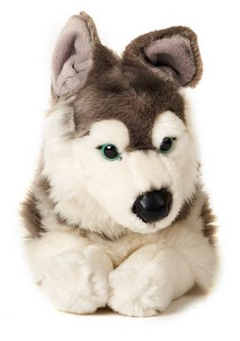 Uni-Toys Kuscheltier Husky, liegend - 40 cm (Länge) - Plüsch-Hund - Plüschtier, zu 100 % recyceltes Füllmaterial