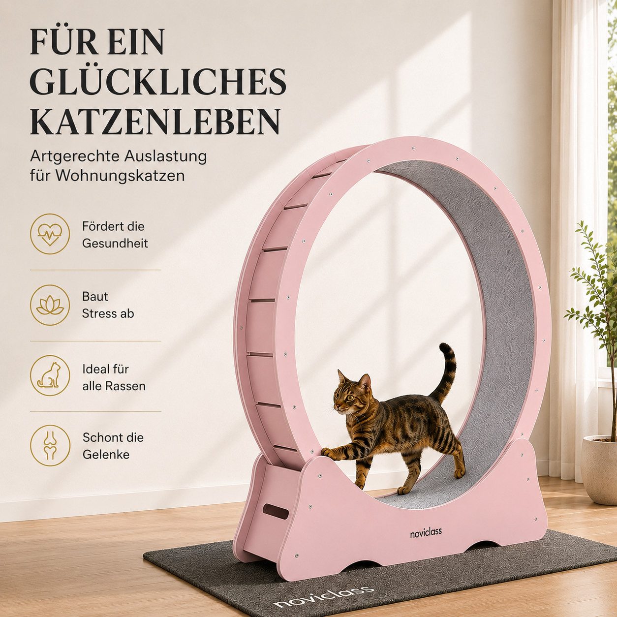noviclass Tierlaufrad Katzenlaufrad 'Baghira' XXL Groß 120cm Innendurchmesser
