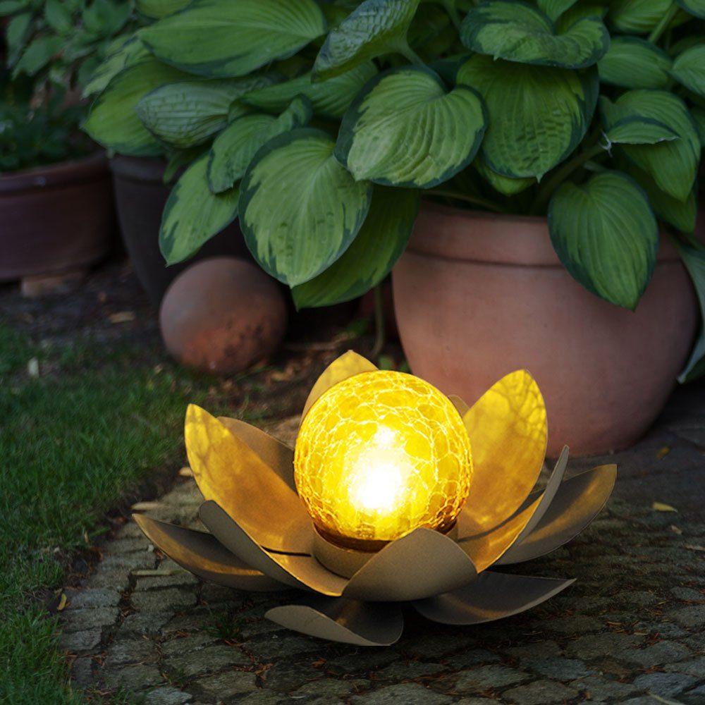 Globo LED Solarleuchte, LED-Leuchtmittel fest verbaut, Warmweiß, Solarlampe  Außenleuchte Gartendeko Lotusblüte Gartenlampe grau D 25 cm