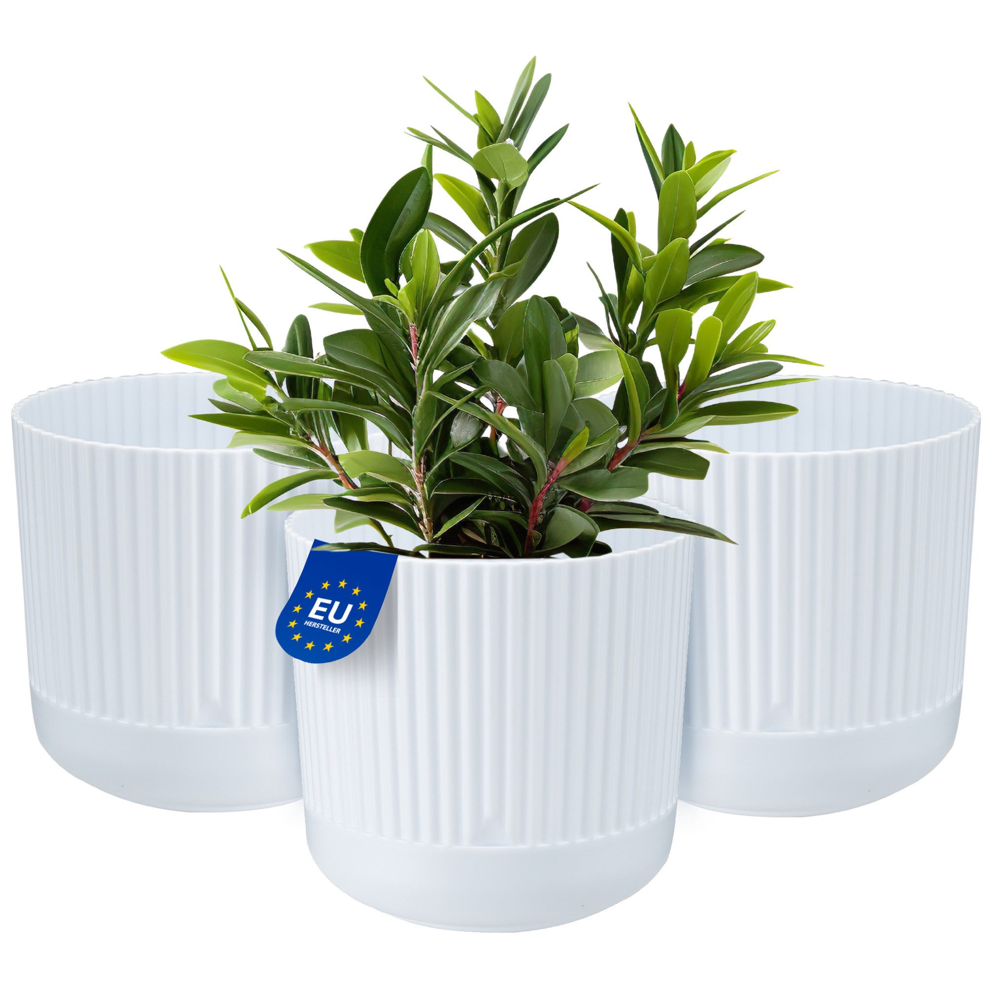 KONZEPT Blumentopf mit Untersetzer, 16 cm günstig online kaufen