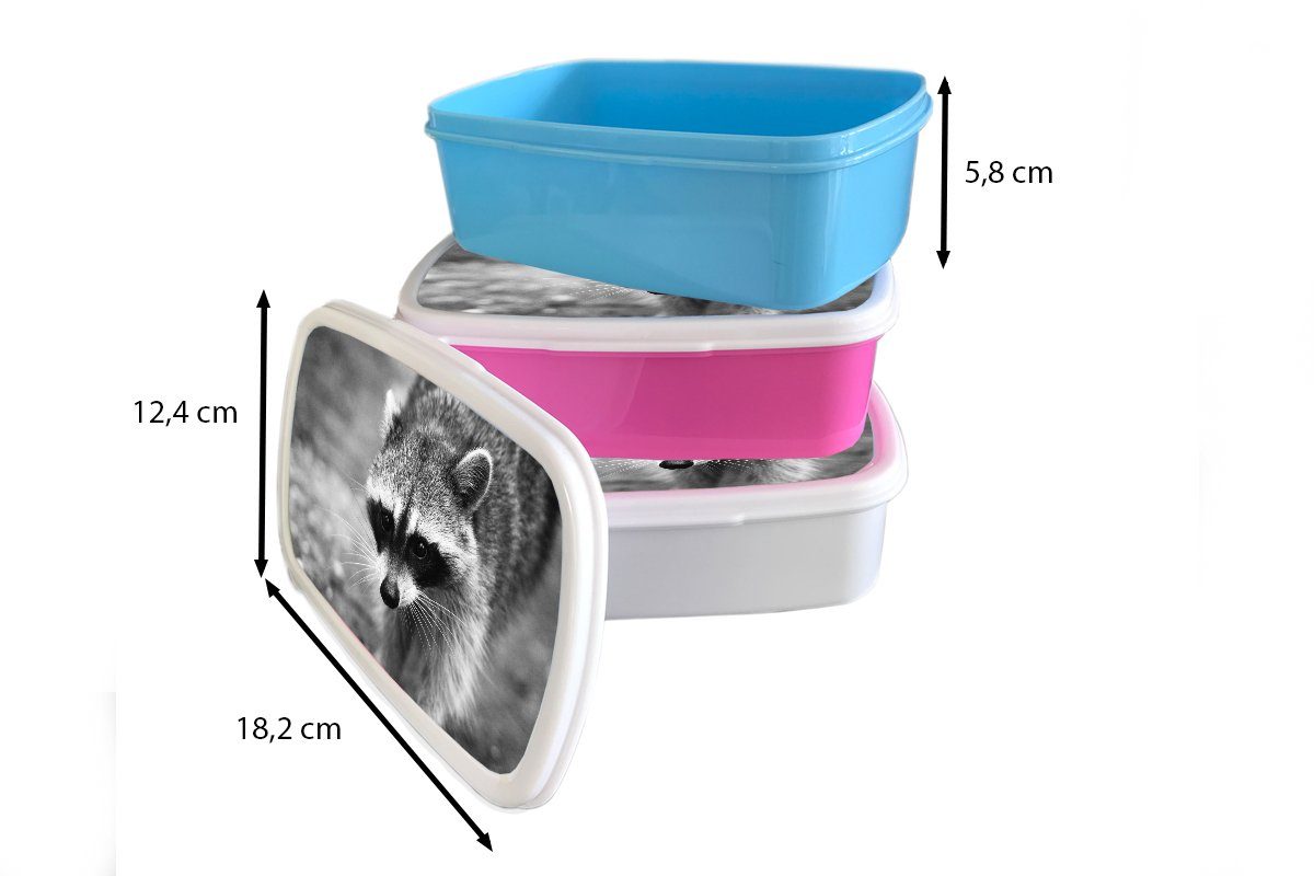 Kunststoff, weiß für auf Mädchen MuchoWow (2-tlg), Kinder Brotdose, Lunchbox Beutezug, für Jungs und und Erwachsene, Brotbox Waschbär