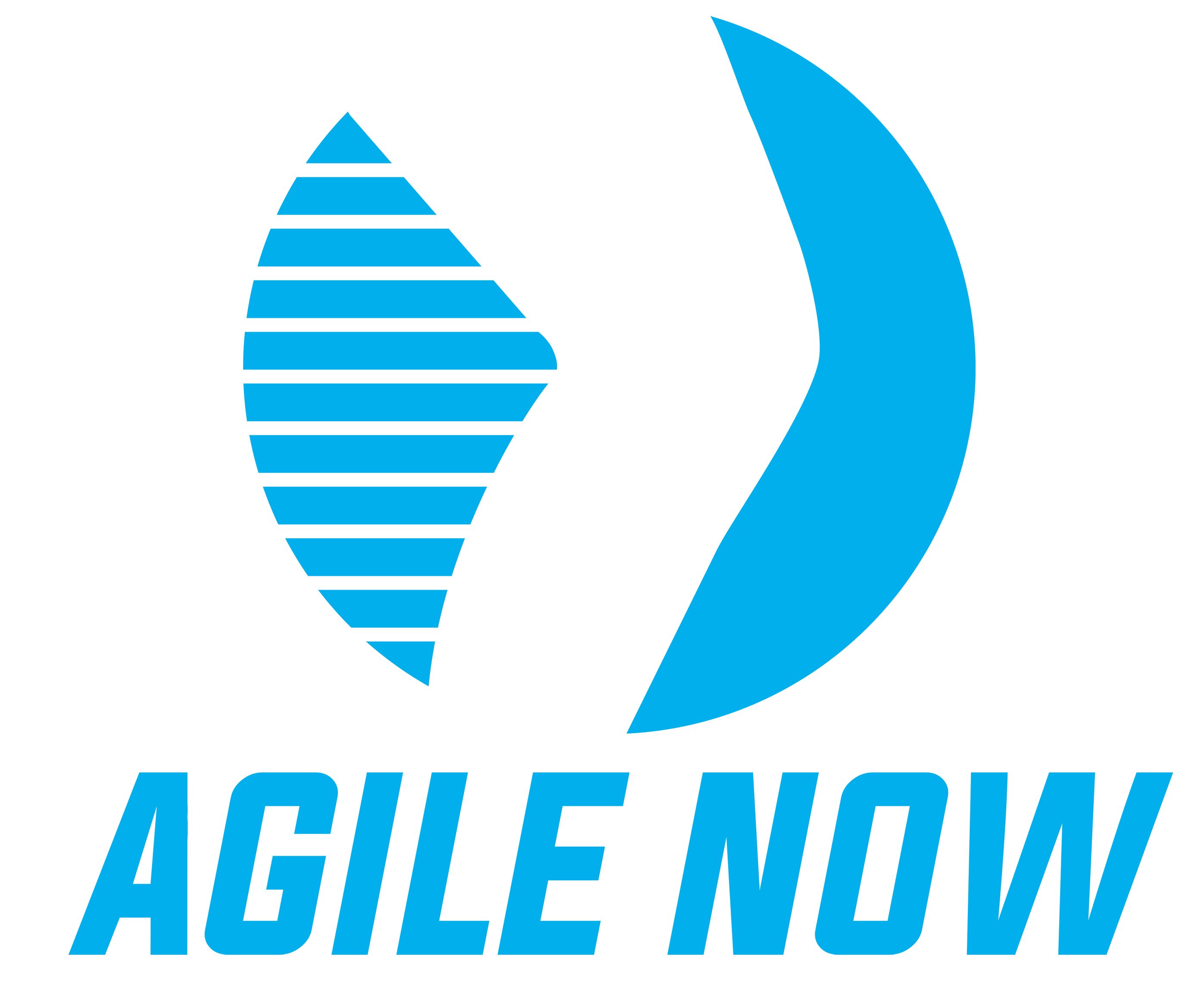 AGILE NOW