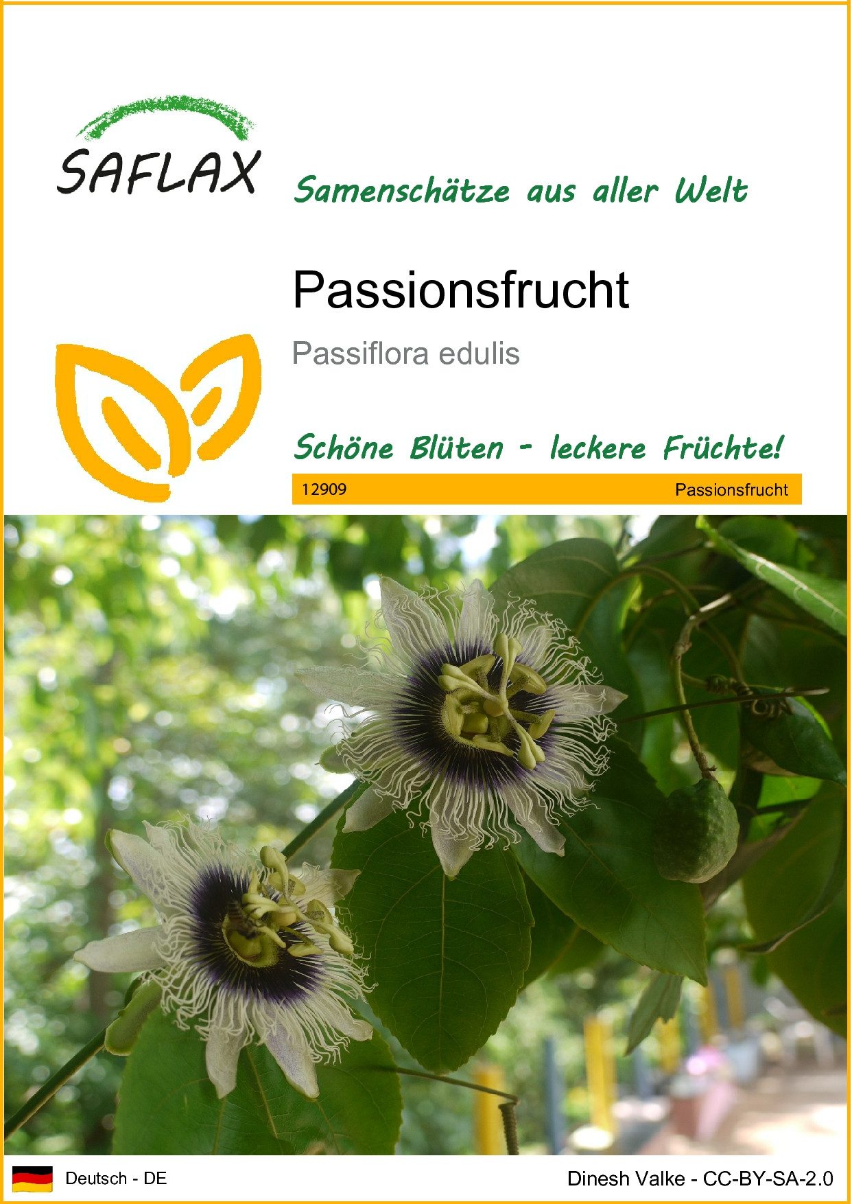 Blumensamen SAFLAX - Samen - Passionsfrucht