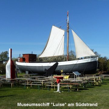 DUR Fingerring DUR Schmuck: Bernsteinring "Göhren / Rügen" der Göhrenring mit Bernste